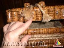 Подарункова скринька з винних пробок, Хрестик подарункова
