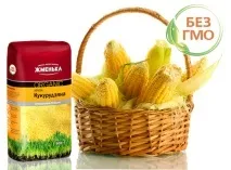 Продукти, що не містять ГМО містять