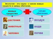 презентация