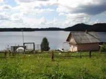 Славнозвісна бабуся з котом живе в Україні, Українська правда живе