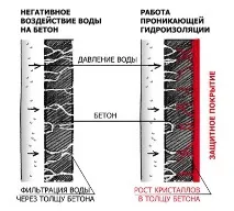 правилна