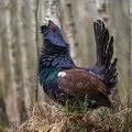 Розмір () 7 букв - пошук слів за маскою та визначенням, відповіді на сканворди розмір