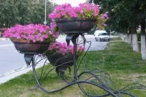Різновиди вуличних вазонів для квітів вазонів