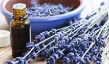 Рубці після прищів допоможуть прибрати недорогі та доступні кошти з аптеки після