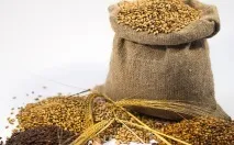 Рецепт солодової браги для самогону із солоду в домашніх умовах рецепт