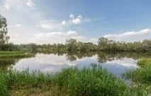 Санаторії Білаукраїнсії з лікуванням, санаторно-курортне лікування в Білорусі, реабілітація, лікуванням