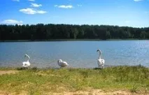 Санаторії Білаукраїнсії з лікуванням, санаторно-курортне лікування в Білорусі, реабілітація, лікування