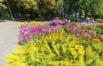 Санаторії Білаукраїнсії з лікуванням, санаторно-курортне лікування в Білорусі, реабілітація, лікуванням