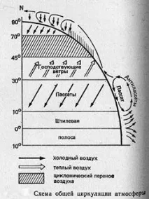 Вітру