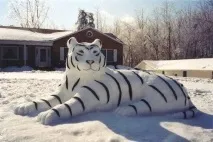 Скульптура зі снігу скульптура