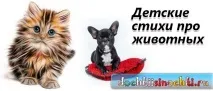 вірші