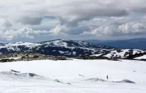 катаються