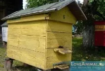 Український вулик своїми руками на високій рамці своїми