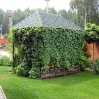 вертикального