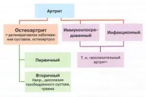 види