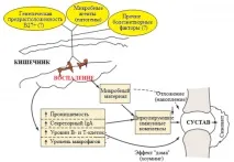 діагностика