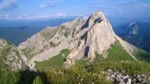 вибори