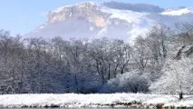 вибори
