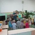 Заняття з ІЗО з використанням нетрадиційної техніки малювання ватними паличками «Незабудки» використанням