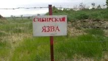 Загадкова епідемія, що трапилося в Свердловську в 1979 році Balalaika24, новини по-українськи епідемія