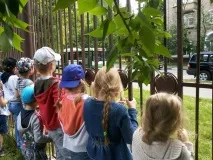 Заняття-бесіда у старшій групі «Спостереження за громадським транспортом» старшій