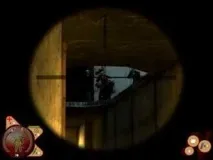 half-life