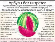 Алергія на кавун - чому виникає і чи можна позбутися алергія