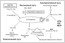 атипичен