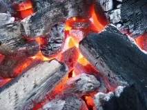А ви знали, що існує кілька видів багать знали