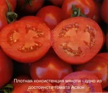 Асвон – лідер з урожайності 2014 року, Kitano Seeds лідер