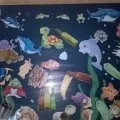 Бесіда з дітьми по екосистемі «Водою, річка, озеро» водою