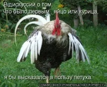 АСЦЕНДЕНТ – ДРАКОН. асцендент