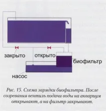 БІОЛОГІЧНА ФІЛЬТРАЦІЯ. Частина 2. амонію