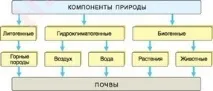 компоненти