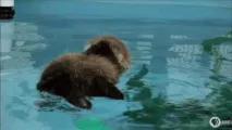 буває