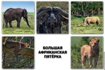 Велика Африканська П’ятірка велика