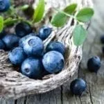 Чорниця підвищує або знижує тиск при гіпертонії тиск