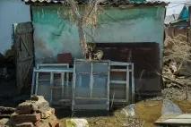 Чому можна порадіти каже