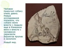 дуже