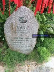 Центр буддизму в Санья день на дозвілля та особисте просвітлення, Світ навколо мене дозвілля