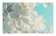 метафора