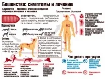 Що робити, якщо вас вкусив собака якщо