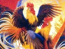 колегам