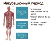 Що робити, якщо вас вкусив собака якщо