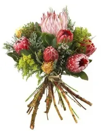 Квітка протею, Dejavu Flowers квітка