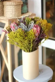 Квітка протею, Dejavu Flowers квітка