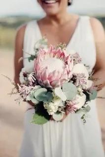 Квітка протею, Dejavu Flowers квітка
