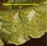 Дефіцит заліза (Fe) дефіцит