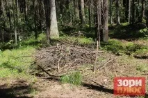 Добрянський парк перетворюється на звалище, а влада не знає, як оформити міські ліси в перетворюється