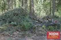 Добрянський парк перетворюється на звалище, а влада не знає, як оформити міські ліси в влада